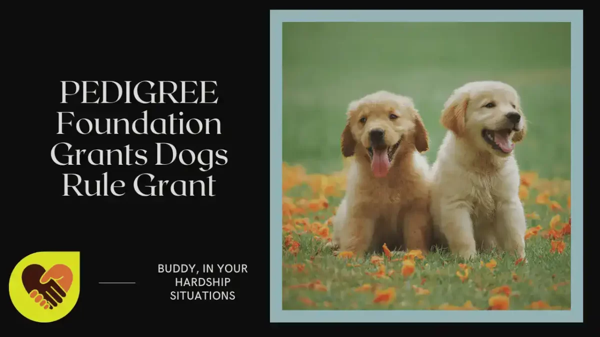 PEDIGREE Foundation Grants Dogs Rule Grant