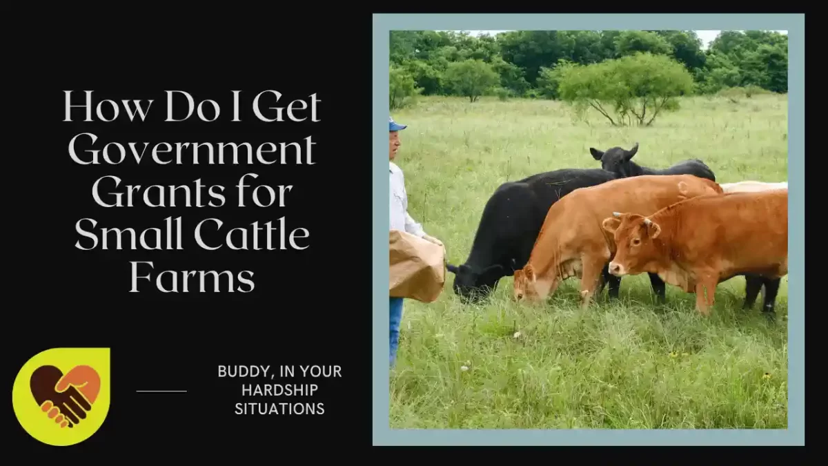 How Do I Get Government Grants for Small Cattle Farms