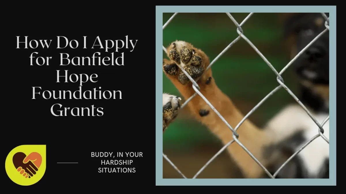How Do I Apply for Banfield Hope Foundation Grants