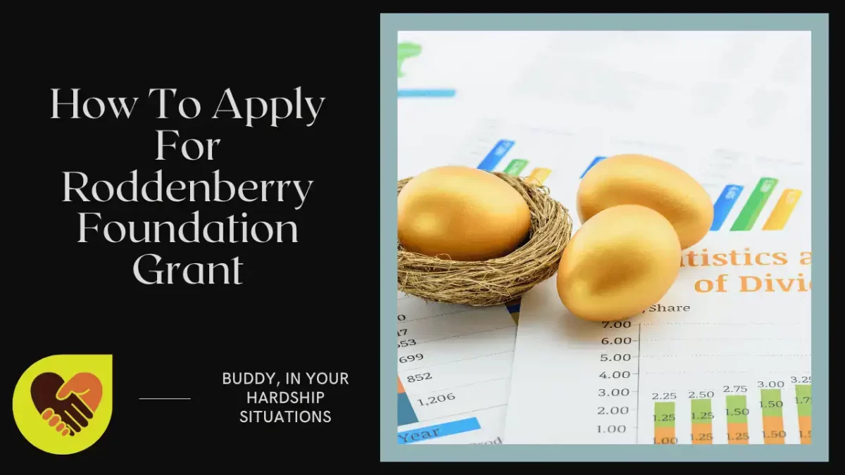 How To Apply For Roddenberry Foundation Grant