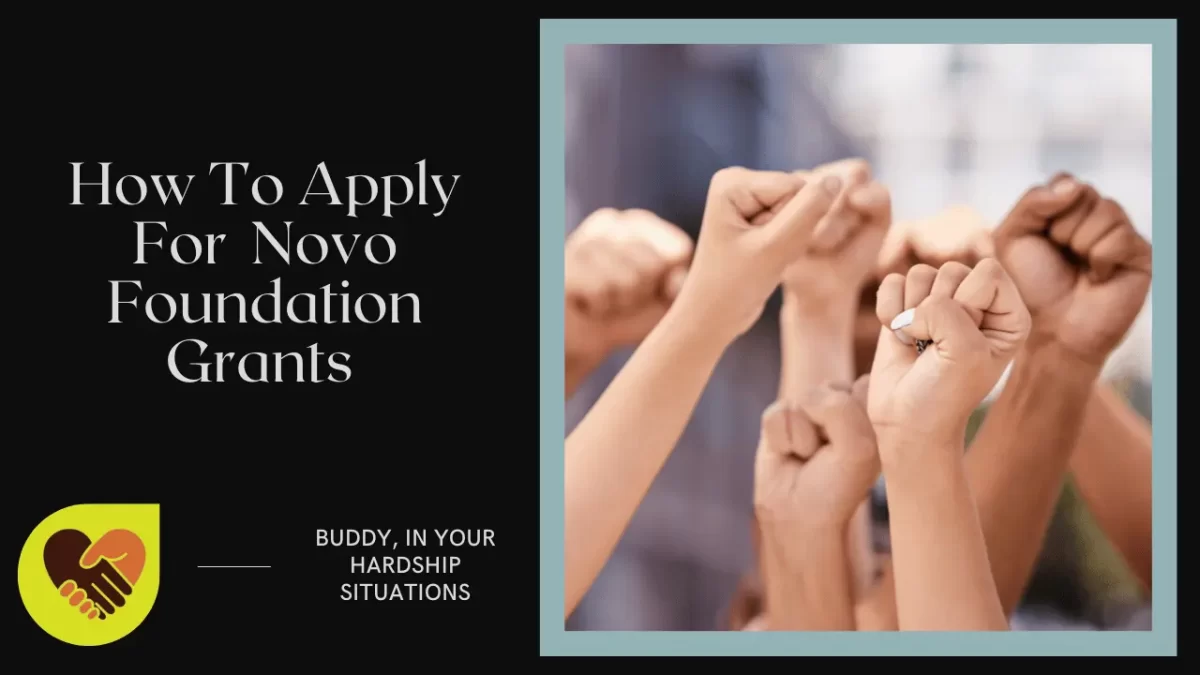 How To Apply For Novo Foundation Grants