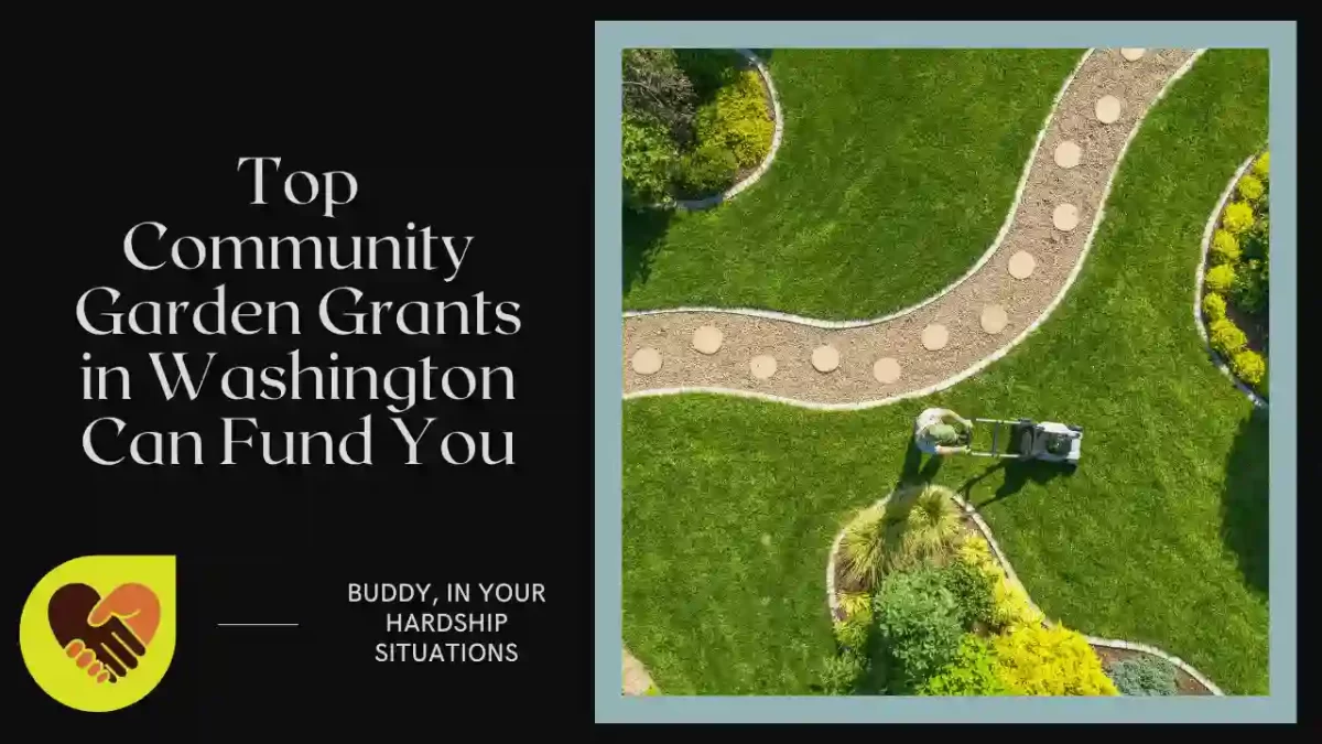 Top Community Garden Grants in Washington Can Fund You