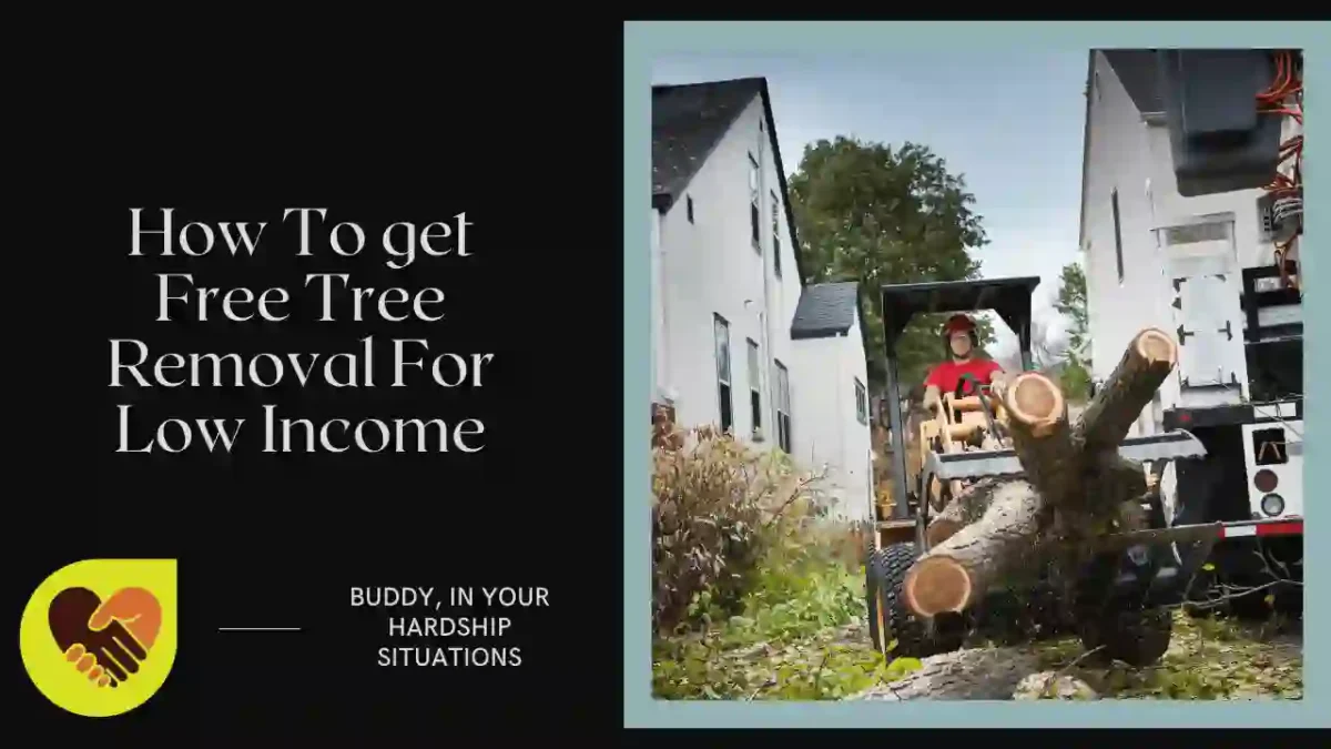 How To get Free Tree Removal For Low Income